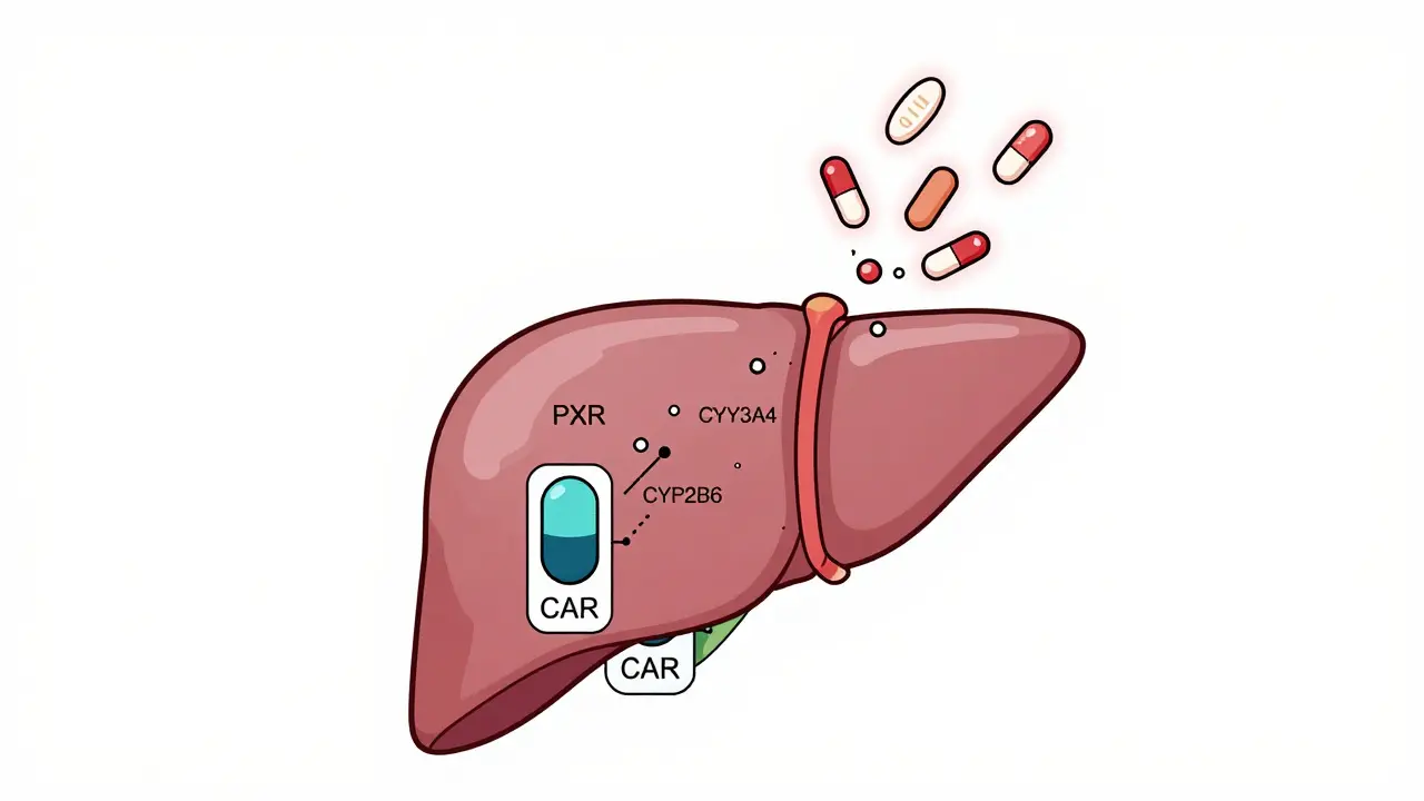Carbamazepine as a CYP Inducer: How It Disrupts Other Medications